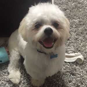 Meet your Posher, Jenny